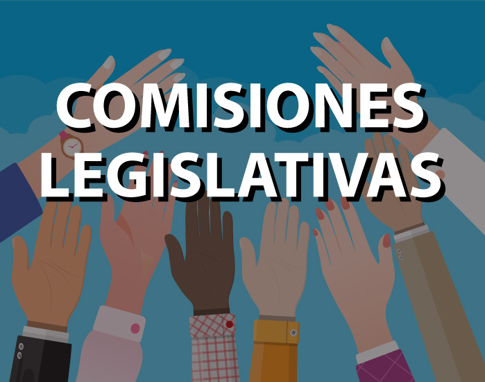 Conformación de las Comisiones Legislativas de la Asamblea Nacional
